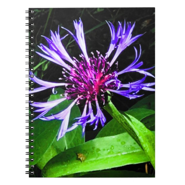 Caderno Espiral THE Thistle     (Frente)