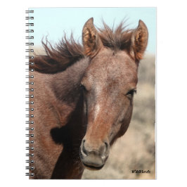 Caderno Espiral Thorin da bacia de lavagem da areia