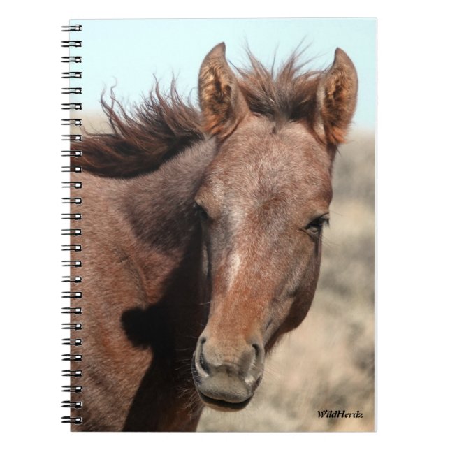 Caderno Espiral Thorin da bacia de lavagem da areia (Frente)