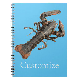 Caderno Espiral Thunder_Cove, lagosta fresca de madeira