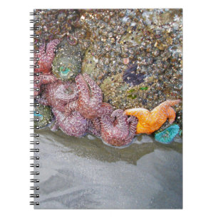 Caderno Espiral Tidal Piscina, Ruby Beach, Olimpiadas National Par