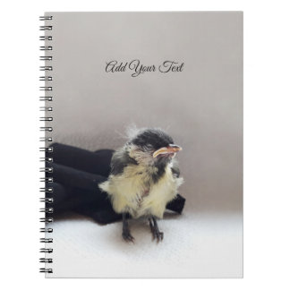 Caderno Espiral Tidi, meu Pássaro, o Parus Major