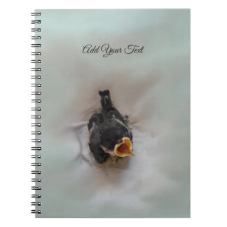 Caderno Espiral Tidi, meu Pássaro, o Parus Major