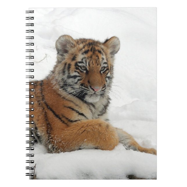 Caderno Espiral Tiger_2015_0102 (Frente)