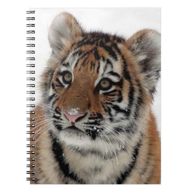 Caderno Espiral Tiger_2015_0114 (Frente)