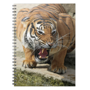 Caderno Espiral Tiger_2015_0156