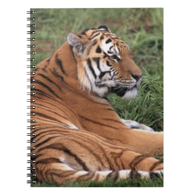 Caderno Espiral TIger Lounging no notebook Grass (Frente)