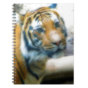 Caderno Espiral Tigre