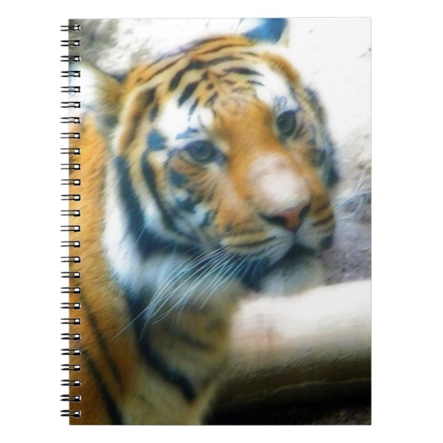 Caderno Espiral Tigre (Frente)