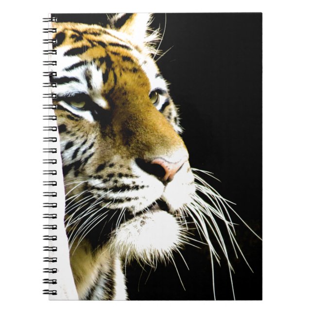 Caderno Espiral Tigre (Frente)