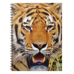 Caderno Espiral Tigre