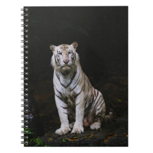 CADERNO ESPIRAL TIGRE BRANCA
