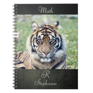 Caderno Espiral Tigre de fotografia do notebook, animais 0255.