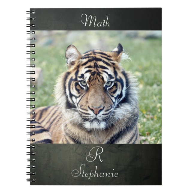 Caderno Espiral Tigre de fotografia do notebook, animais 0255. (Frente)