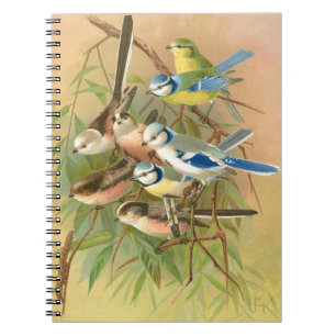 Caderno Espiral Tinta azul-eurasiática e teta de cauda longa, Aves