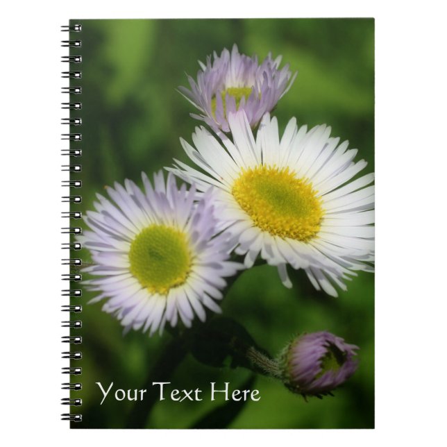 Caderno Espiral Tiny Daisies Fleabane Flower Nature (Frente)