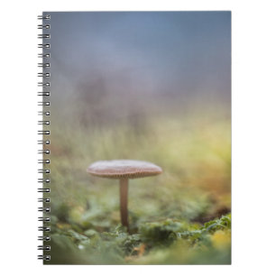 Caderno Espiral Tiny Mushroom Nature Foto