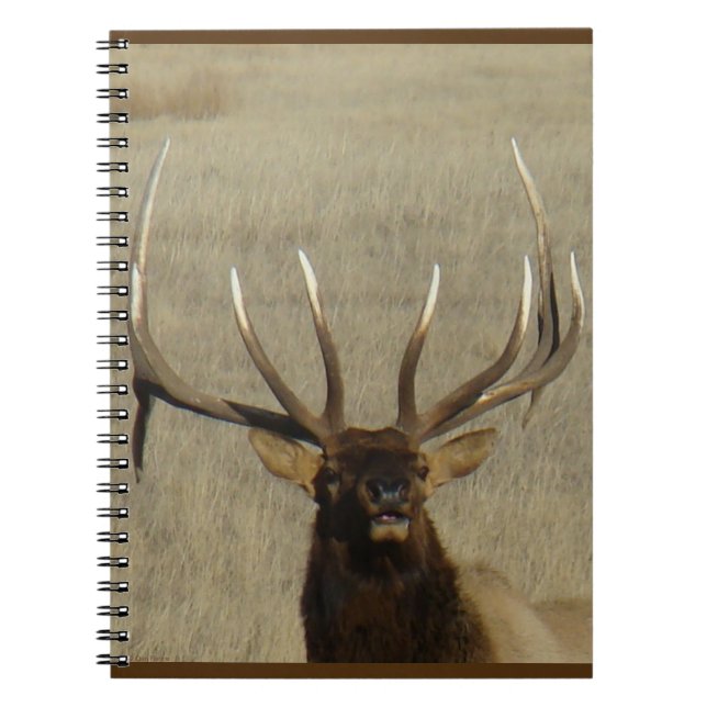 Caderno Espiral Tiro na Cabeça de E29 Touro Alce (Frente)