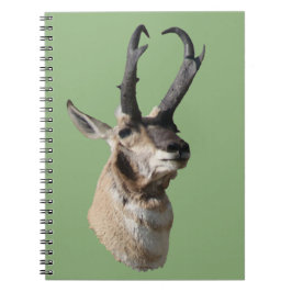 Caderno Espiral Tiro na Cabeça de um Antílope Bidente A18