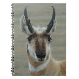 Caderno Espiral Tiro na Cabeça de um Jovem Bicho Antílope A30