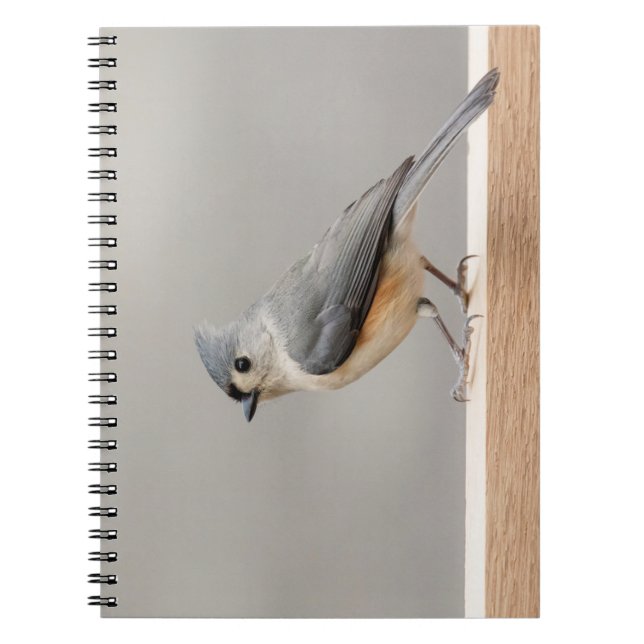 Caderno Espiral Titmouse tufado (Frente)