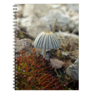 Caderno Espiral Toadstool pequenina
