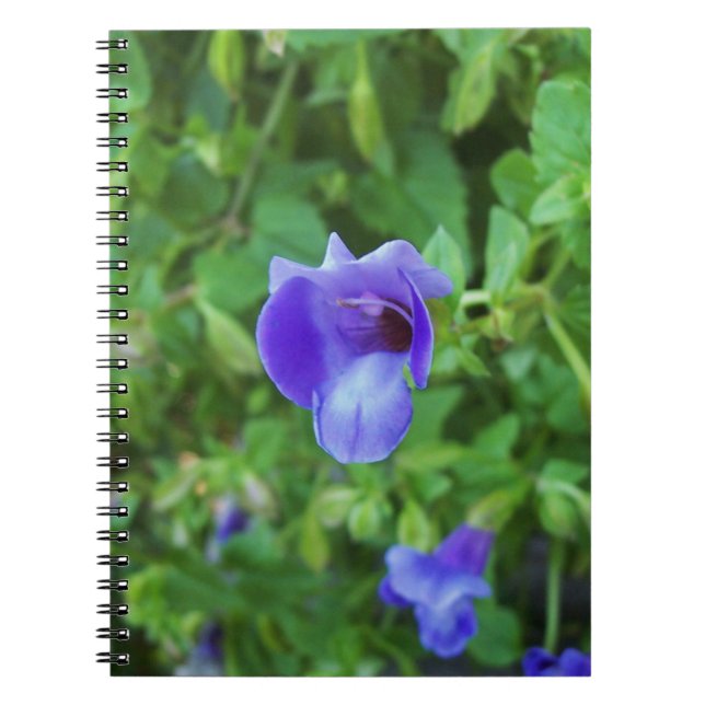 Caderno Espiral Torenia (Frente)