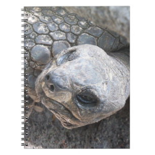 Caderno Espiral Tortoise Face