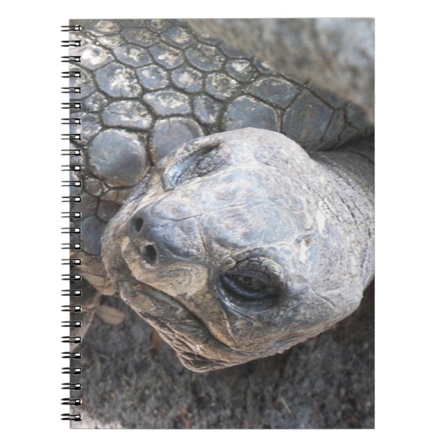 Caderno Espiral Tortoise Face (Frente)