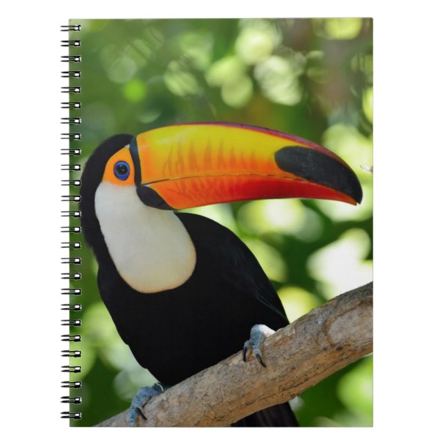 Caderno Espiral Toucan (Frente)