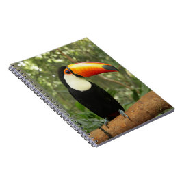 Caderno Espiral Toucan na ramificação da árvore
