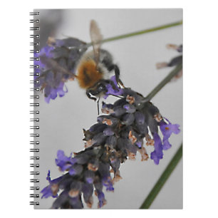 Caderno Espiral Trabalhadores Maravilhosos da Natureza