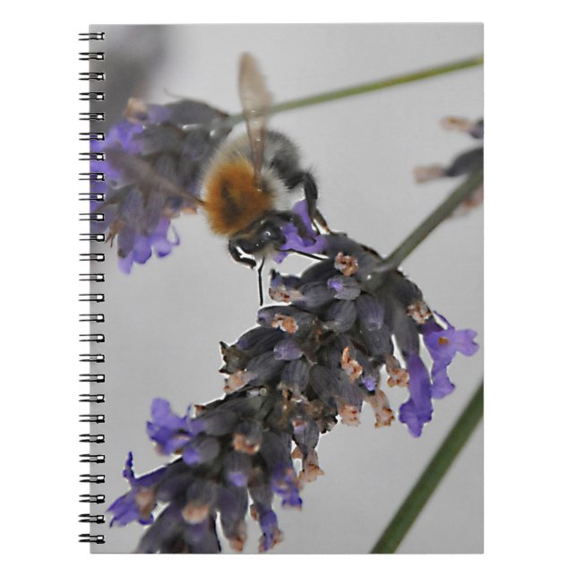 Caderno Espiral Trabalhadores Maravilhosos da Natureza (Frente)