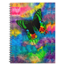 Traça do por do sol 6,5 x 8,75