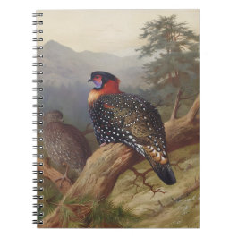 Caderno Espiral Trama Ocidental, Ilustrações de Aves