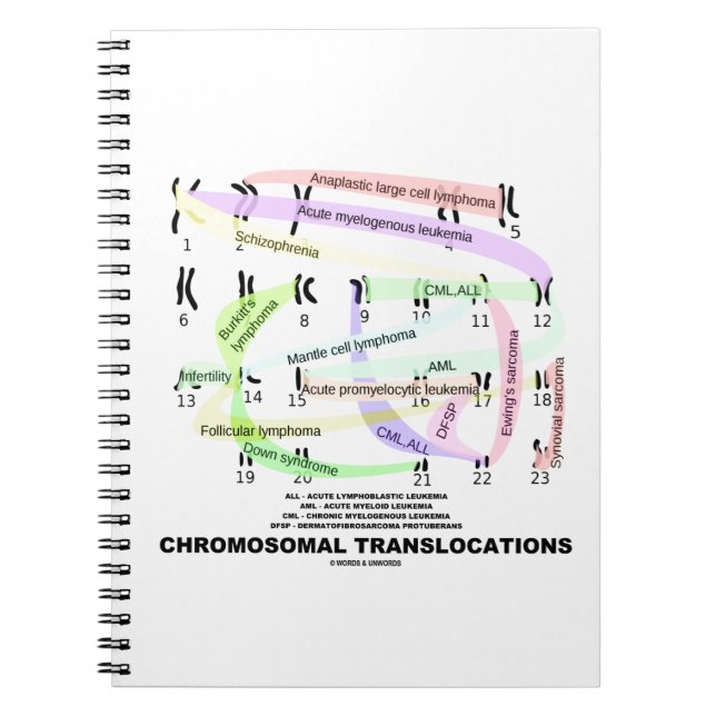 Caderno Espiral Translocações cromossômicas (Karyograma) (Frente)