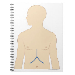 Caderno Espiral Transplantação do fígado