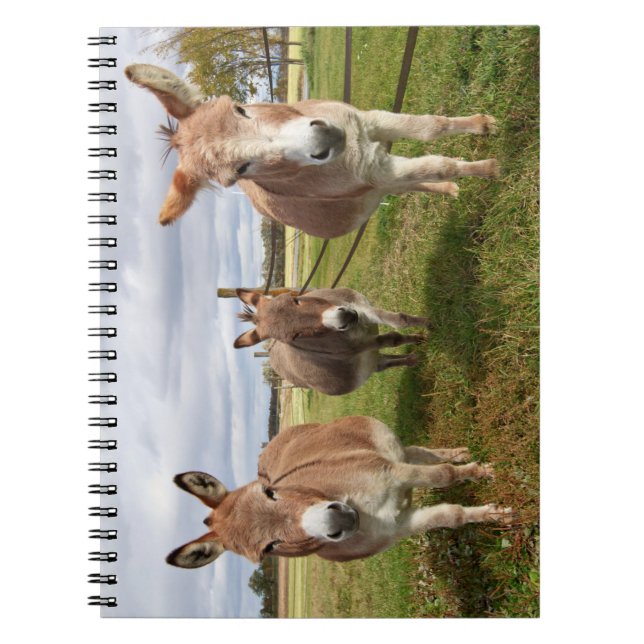 Caderno Espiral Três Donkey (Frente)