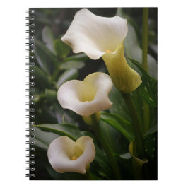 Caderno Espiral Três Flores Calla Lily do Jardim de Gertie