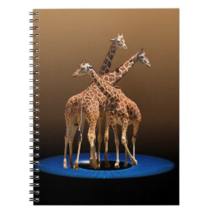 CADERNO ESPIRAL TRÊS GIRAFAS