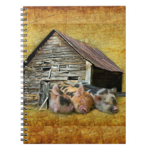 Caderno Espiral Três Pequenos Porcos No Barão Russo Narrando