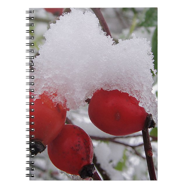Caderno Espiral Três quadris de rosa e neve (Frente)