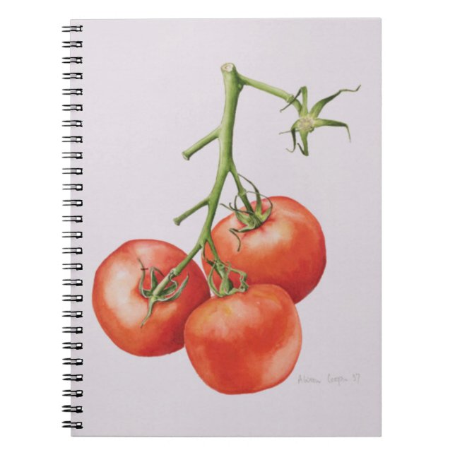 Caderno Espiral Três tomates na videira 1997 (Frente)