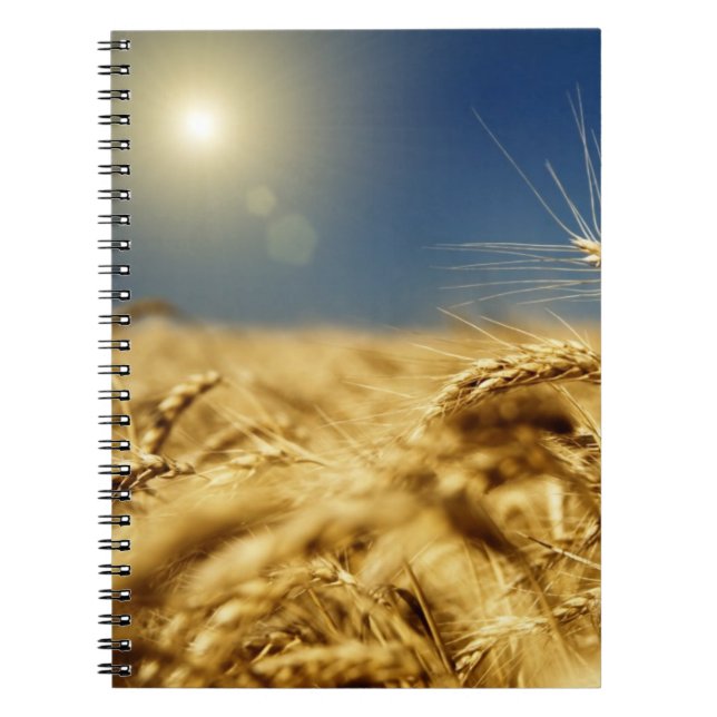 Caderno Espiral Trigo Dourado e céu azul com sol (Frente)