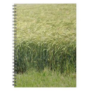 Caderno Espiral Trigo - Saboroso!
