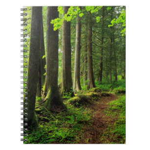 Caderno Espiral Trilha da Floresta Verde Cênica