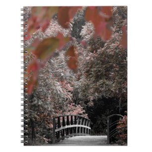 Caderno Espiral Trilha da Passagem da Ponte na Fotografia da Natur