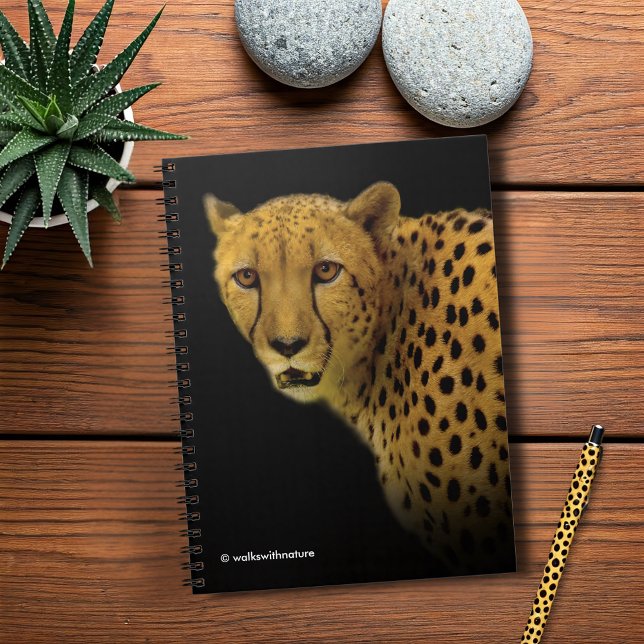 Caderno Espiral Trocando olhares com um Chita Magnífico (Trading Glances with a Magnificent Cheetah Journal Cover Photo)