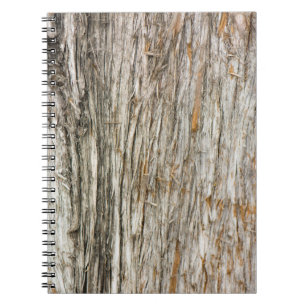 Caderno Espiral Tronco de árvore
