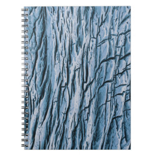 Caderno Espiral Tronco de árvore marrom em fotografia de aproxima